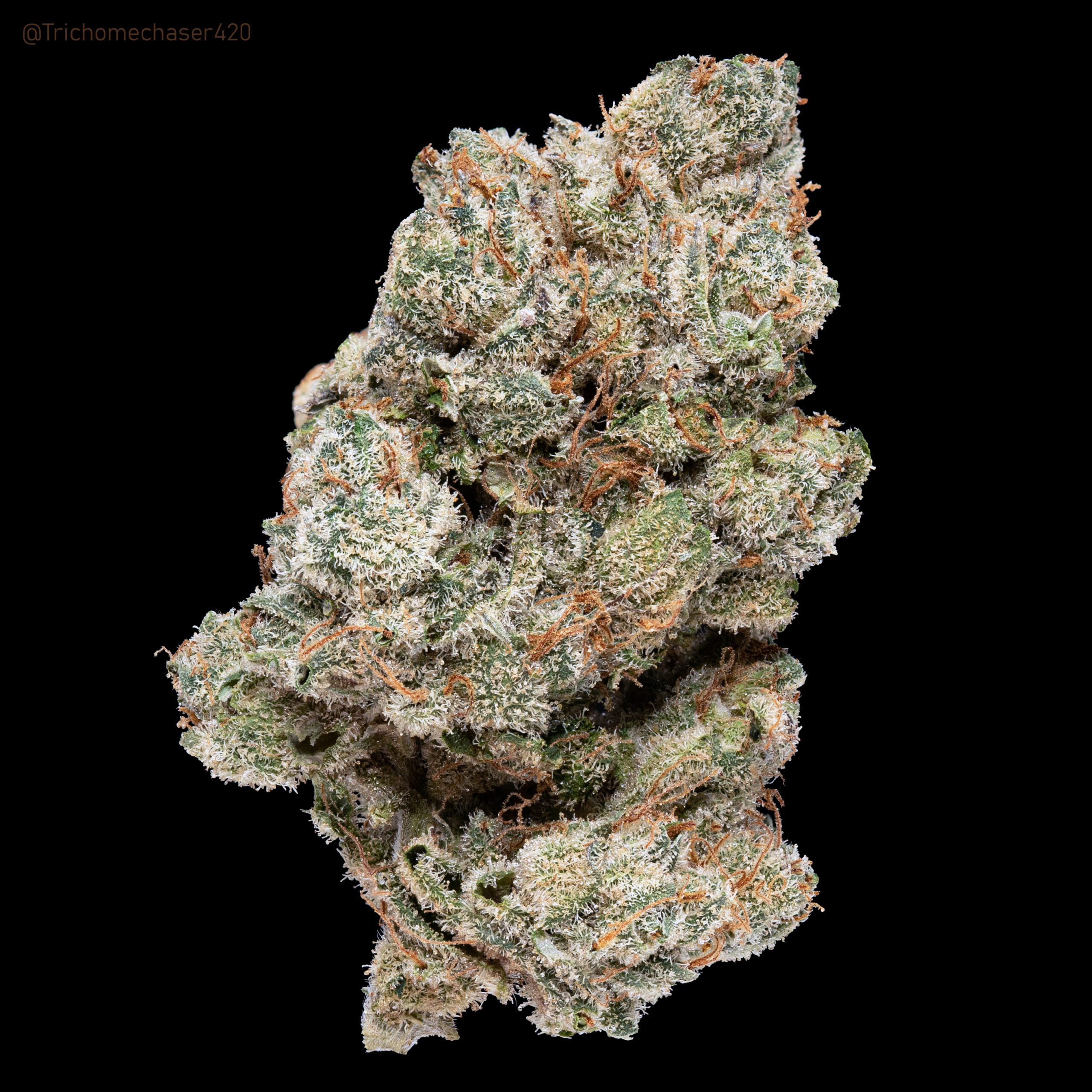 Cannabis Nug Autoflower